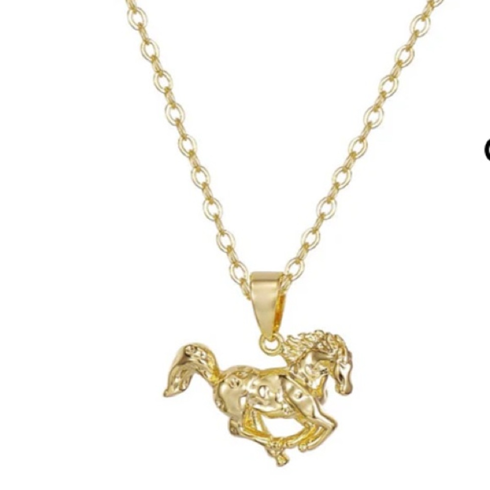 - Evry Jewles Necklace